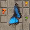 butterfly-memory-match