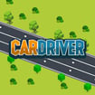 car-driver