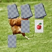 chicken-memory-match