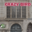 crazybirdcity