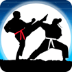 karate-fighter-real-battles