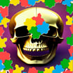 skull-picture-scramble-challenge