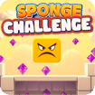 sponge-challenge